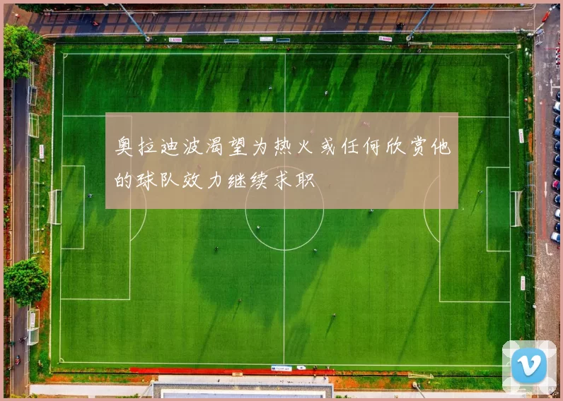 奥拉迪波渴望为热火或任何欣赏他的球队效力继续求职